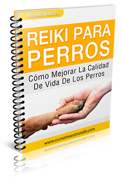 b-reiki-perros